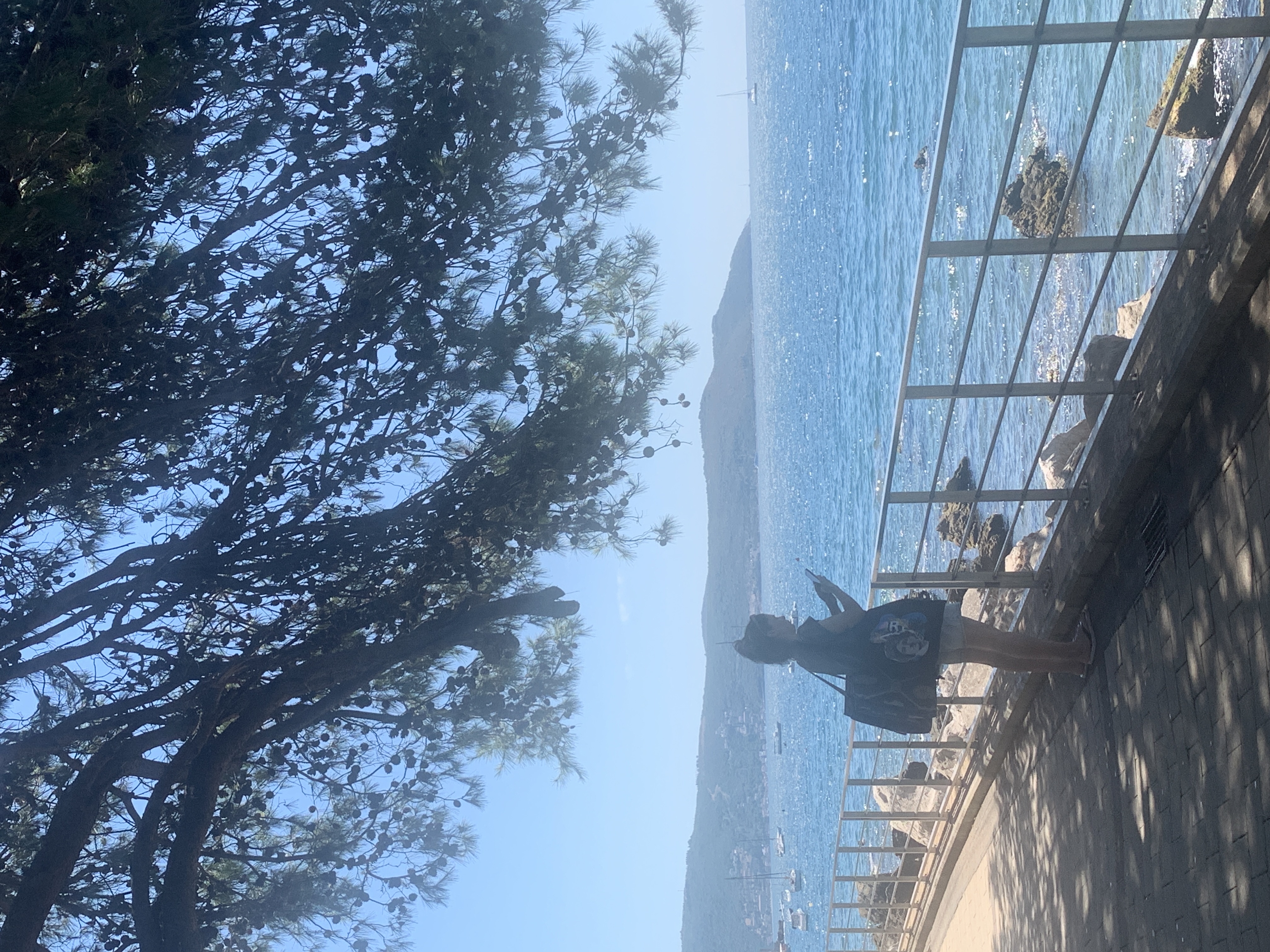 Pogled na luku
